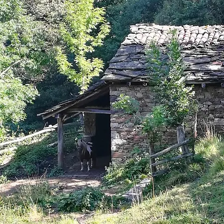 Encanto Asturiano
