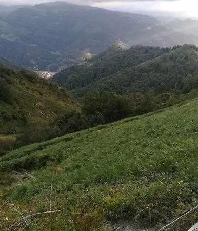 Encanto Asturiano